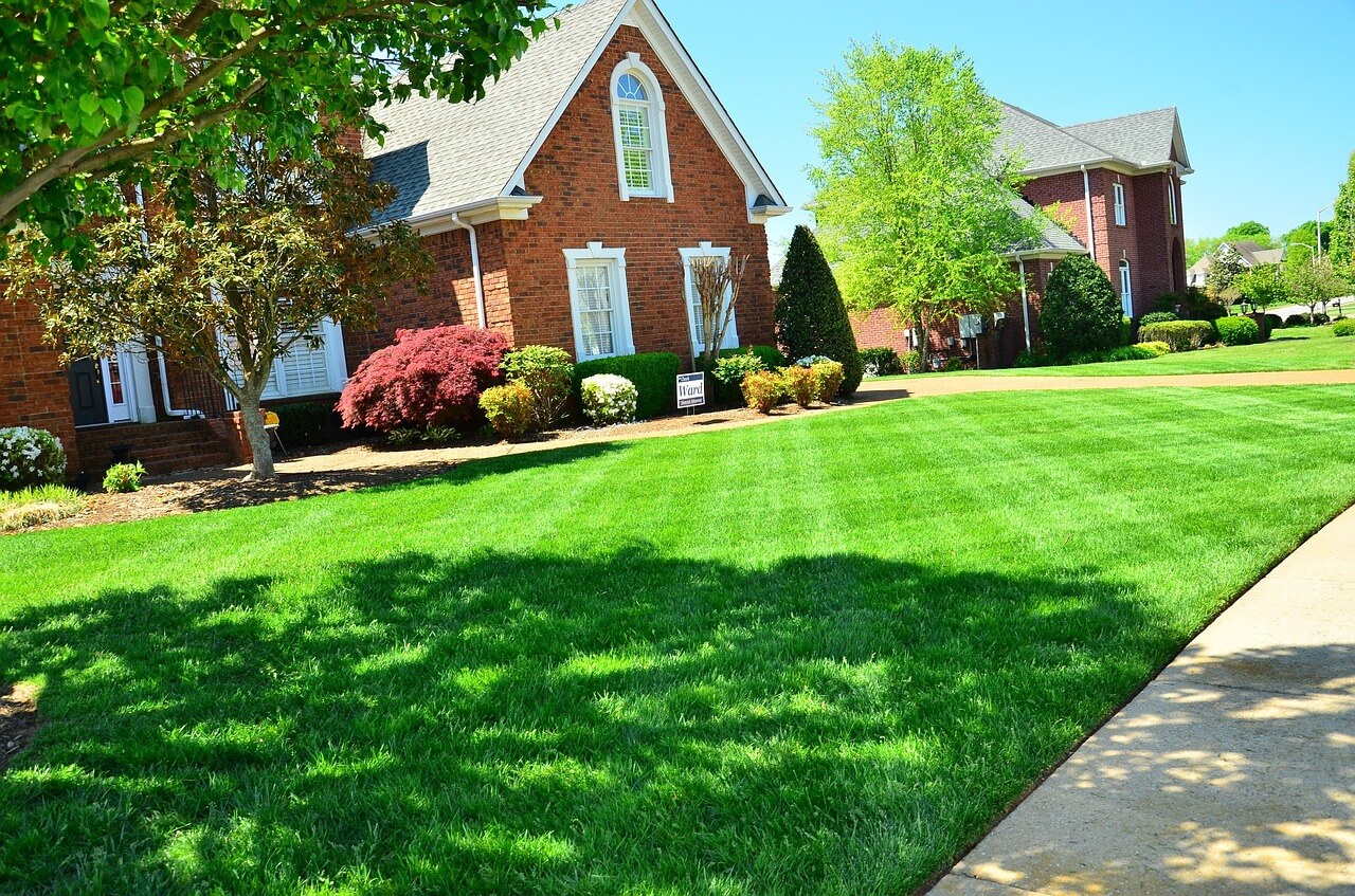 Professional Lawn Treatment Services