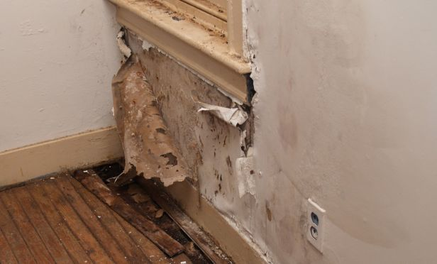 The Most Common Signs To Know If A Home’s Foundation Is Damaged