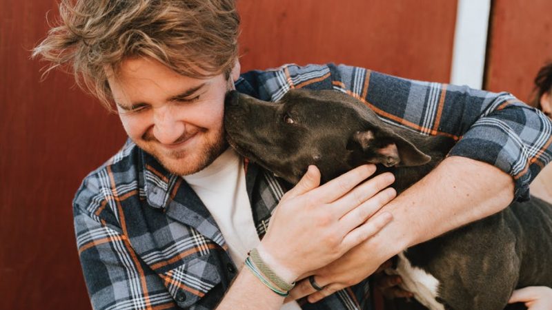 The Top 4 Amazing Benefits of Owning a Dog