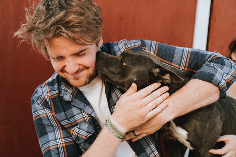The Top 4 Amazing Benefits of Owning a Dog