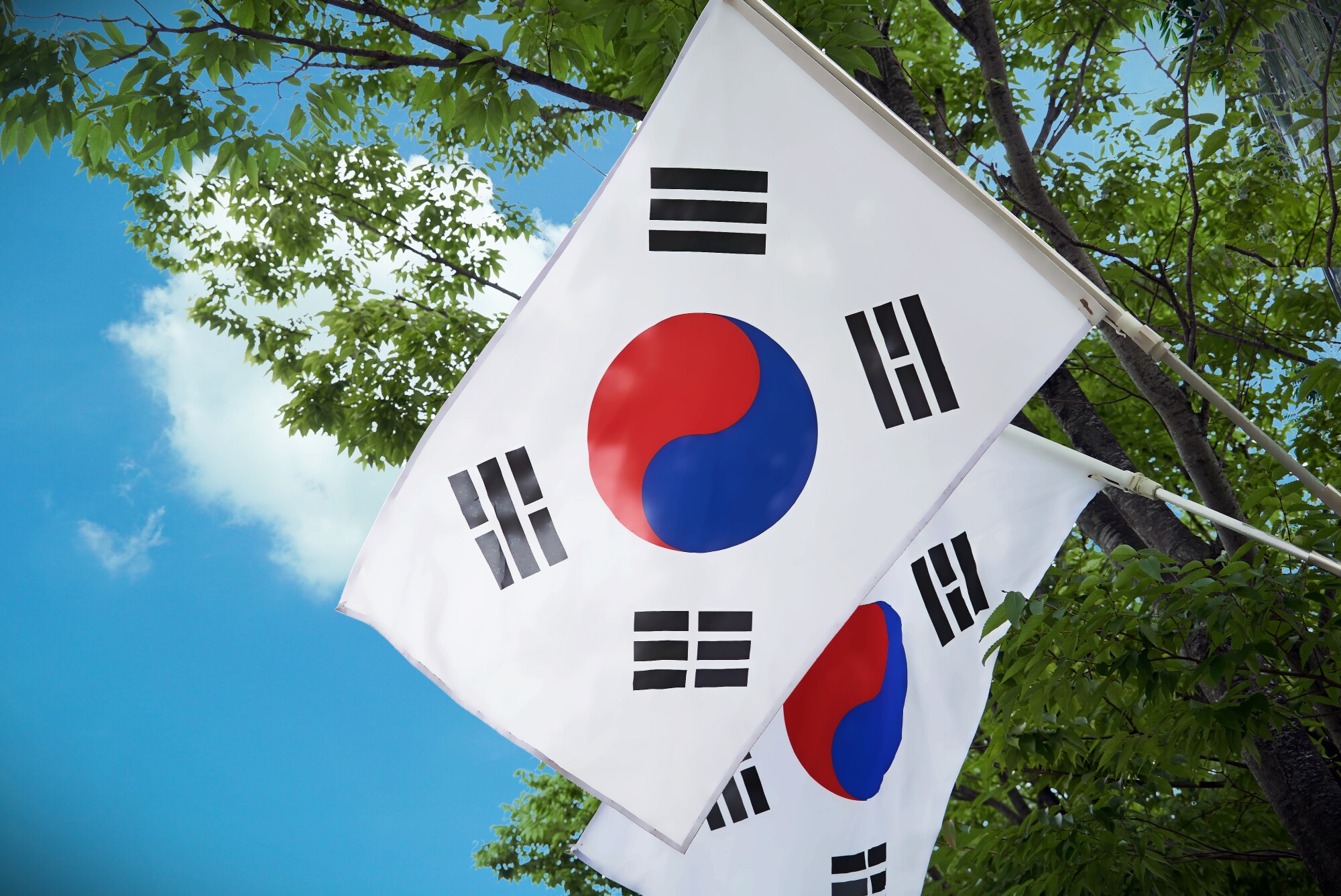 Trading on the South Korea Stock Market: A Closer Look