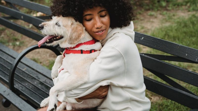 Interested in Emotional Support Animals? 5 Things to Consider