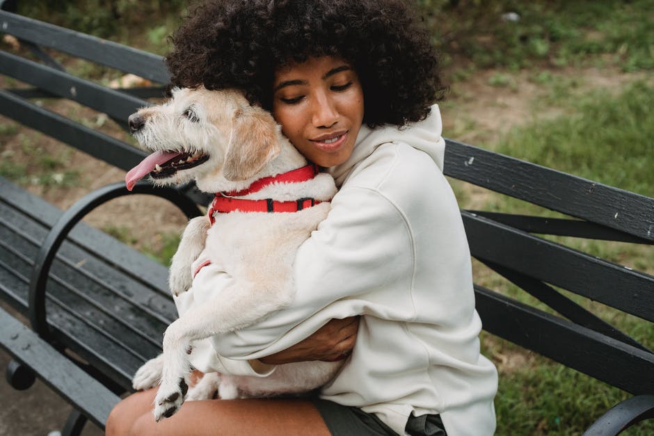 Interested in Emotional Support Animals? 5 Things to Consider