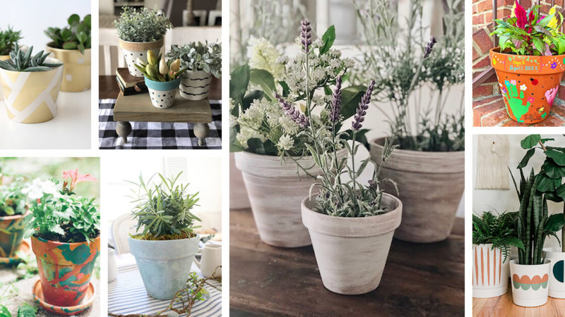 Imaginative DIY Plant Pot Ideas: Adding a Personalized Flair to Your Plant Displays