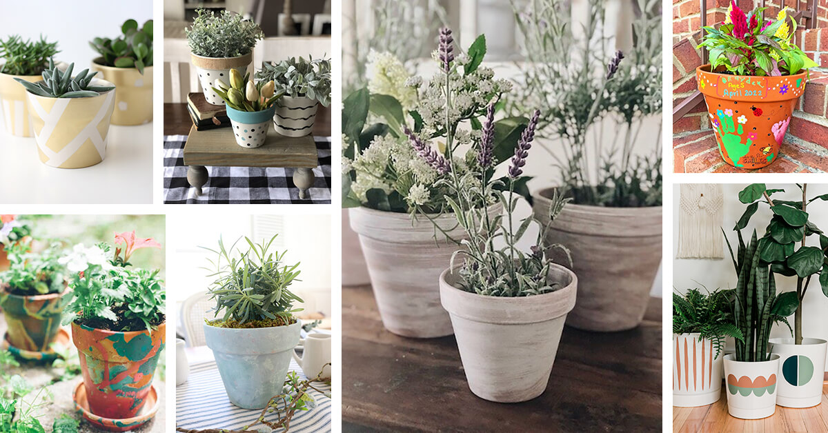 Imaginative DIY Plant Pot Ideas: Adding a Personalized Flair to Your Plant Displays