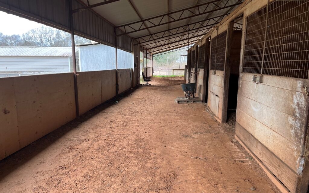 Essential Features for Equine Sheds: A Comprehensive Overview