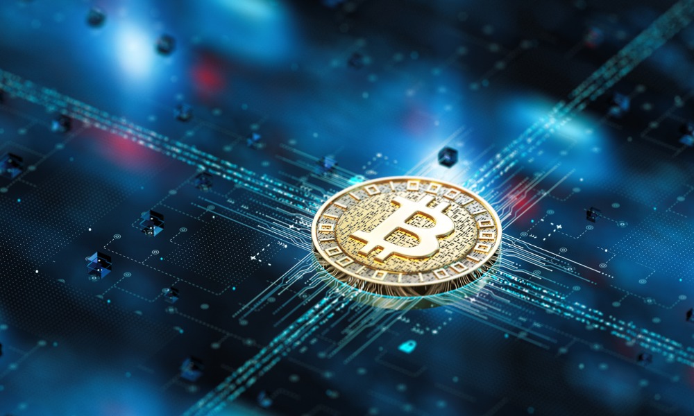 Are bitcoin micro-merchant services targeting specific niches profitable?